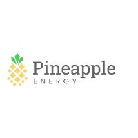 Pineapple Energy: Q4 Earnings Snapshot